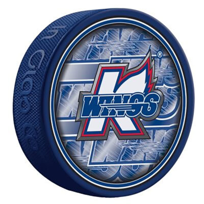 3-D Blue Puck